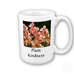 kindness coffee